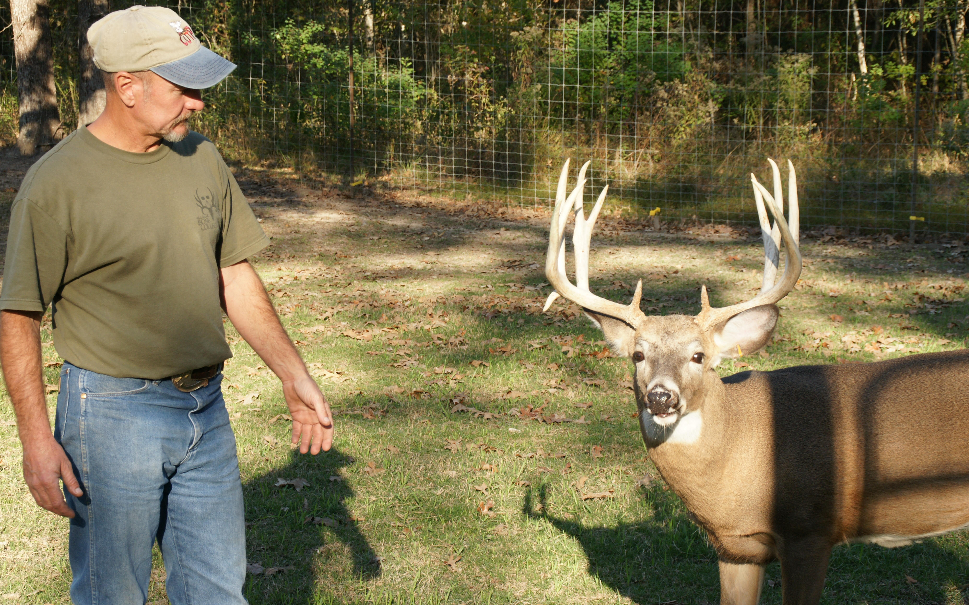 Louisiana Trophy Whitetail Petting Zoo for you or your Children's